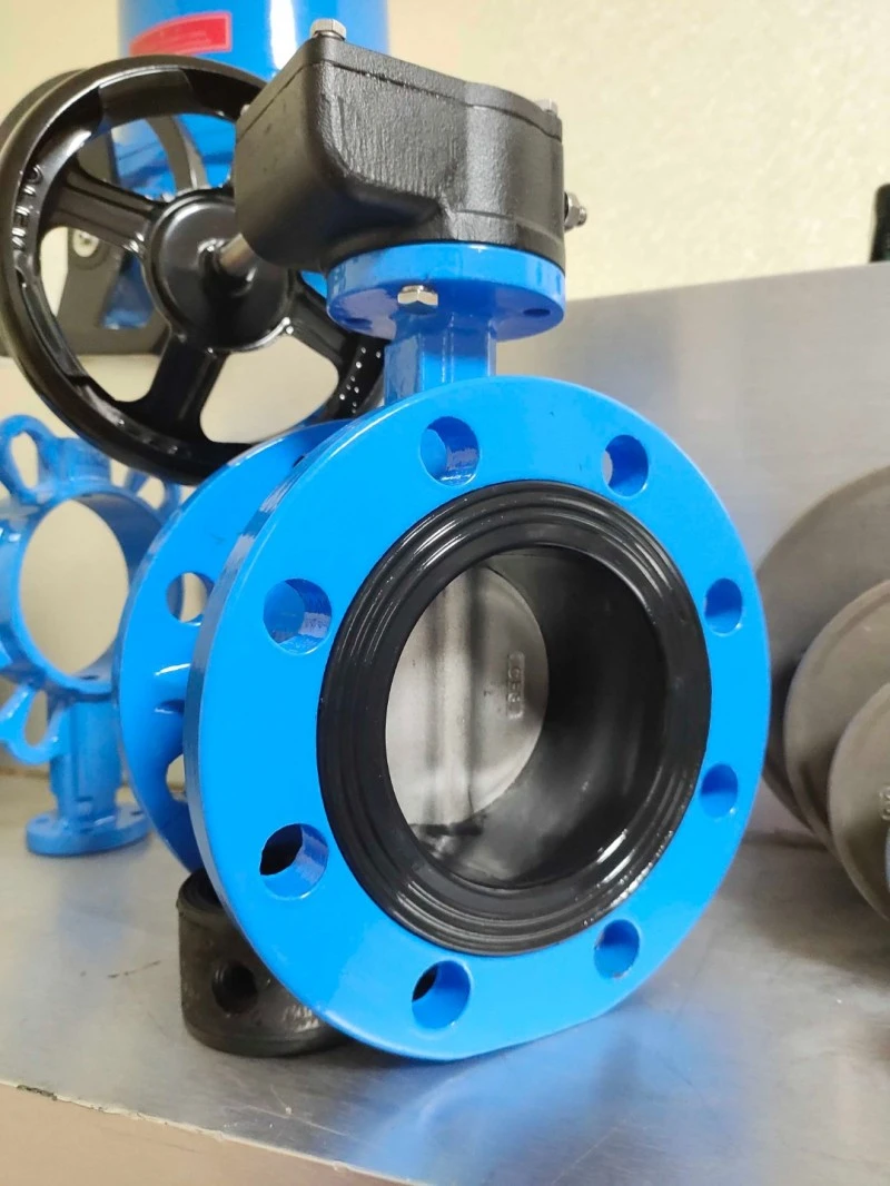Gear Flange Butterfly Valve